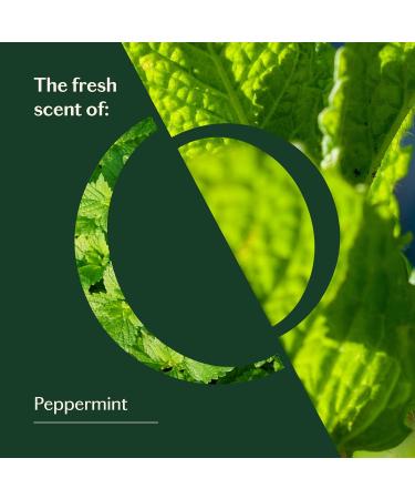 Confident Peppermint Essential Oil - Pure & Natural Aromatherapy - Fresh USA-Sourced Mint Scent for Skin & Diffuser Use - Buy Online on GoSupps.com