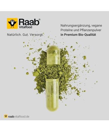 Raab Vitalfood Bio Pumpkin Seed Protein Powder - 59% Protein Vegan Organic 500g from Austria - Buy Online on GoSupps.com