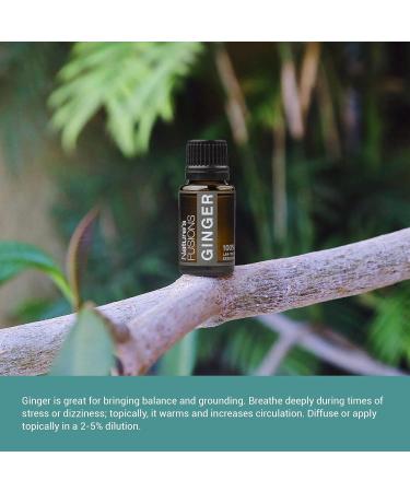 Nature's Fusions Ginger Root 100% Pure and Natural Essential Oils Undiluted Therapeutic Grade for Aromatherapy and Topical Use .5 Fl Oz (Pack of 1) (15 mL) - Buy Online on GoSupps.com