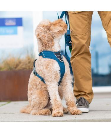 DOG Copenhagen Comfort Walk Pro Dog Harness - Mocca | Premium Adjustable Dog Harness for Ultimate Comfort & Style - International Shipping Available - Buy Online on GoSupps.com