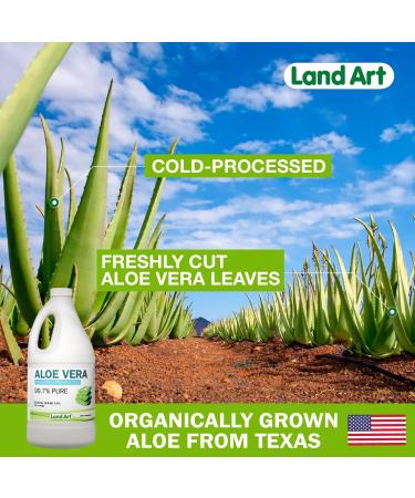 Organic Pure Aloe Vera Juice - Cold-Processed from Texas Fresh Leaves - 50.7 fl oz - Gastrointestinal Aid - Buy Online on GoSupps.com