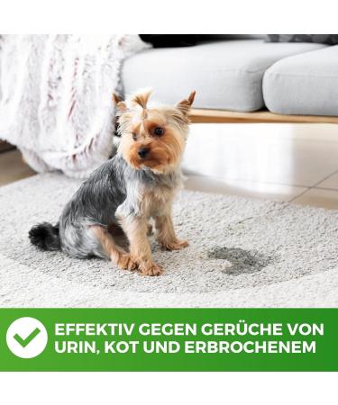 Odor Remover Enzyme Cleaner 1000ml | Eliminate Bad Smells Like Cat Urine | Ideal for Cages Kennels and Toilets - Buy Online on GoSupps.com