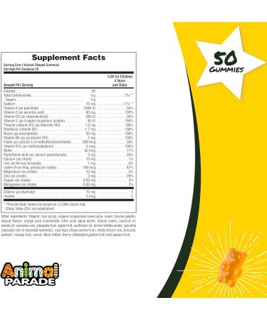 NaturesPlus Animal Parade Children's Multivitamin Gummies - 50 Animal Shaped Gummies - Natural Assorted Flavors - Vegetarian & Gluten-Free - Promotes Health & Wellbeing | 25 Servings | 50 Count Pack - Buy Online on GoSupps.com