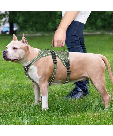 Heele Reflective Dog Dishes & Harness | Breakout Buckle Robust Handle Panic Crockery - Perfect Fit in Green - Buy Online on GoSupps.com