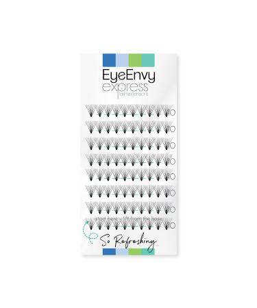 EyeEnvy Express Lash Extensions So Refreshing Faux Mink Individual Cluster Eyelashes (10mm)