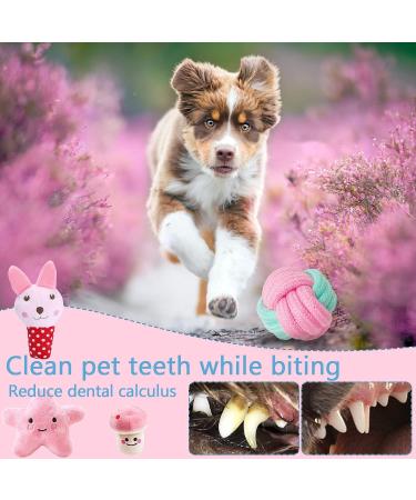 Vipnaji Puppy Toys - 15PCS Long-Lived Plush & Rope Toys for Small & Medium Dogs | Non-Toxic & Safe Cotton Wool | Perfect for Puppies - Buy Online on GoSupps.com