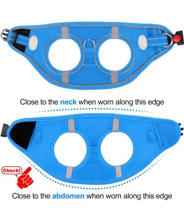 Joyal Dog Harness | Reflective Soft Padded Air-Mesh for Medium & XL Dogs | Breathable Baby Blue 55-61cm - Buy Online on GoSupps.com