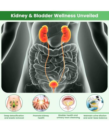 Kidney Cleanse Detox & Repair | Extra Strength 50:1 Cranberry Extract | 22-in-1 Kidney Health Supplement for Detox & Bladder Support - Buy Online on GoSupps.com