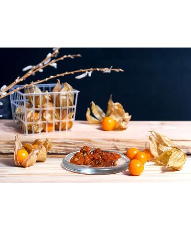 Organic Golden Berries 1lb | Non-GMO Dried Whole Berries | Unsweetened & Sulfite-Free | Kosher & Vegan | Vitamin A-Rich Snack for Baked Goods & Granola - Buy Online on GoSupps.com
