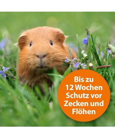 ARDAP Spot On: Natural Tick Mite & Flea Protection for Small Pets (1-4kg) - 12 Weeks Long-Lasting Safe Solution - Buy Online on GoSupps.com