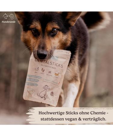 Hundreds Dental Sticks for Dogs - 100% Natural Vegan Hypoallergenic Chew Sticks - 3 Pack for Tartar & Dental Care - Trial Package - Buy Online on GoSupps.com