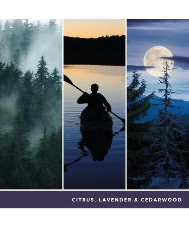 Yankee Candle Midsummers Night PC Gaming Headset Glass Medium Jar Candle - Buy Online on GoSupps.com