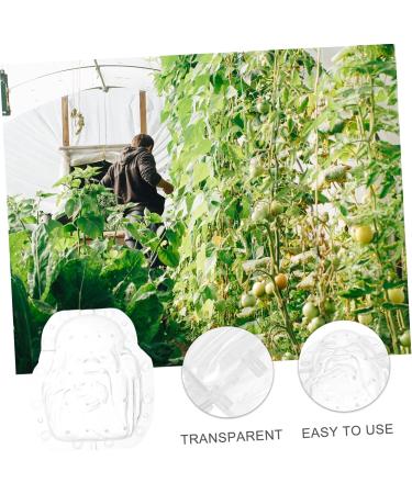 Yardenfun Fruit Shaping Mold Ginseng Cucumbers Multi-use Fruits Mold Vegetable Growing Mold Small Fruit Gourd - Buy Online on GoSupps.com