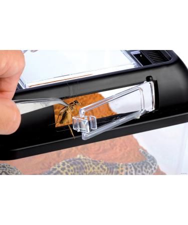 Exo Terra Breeding Box Medium - Ideal for Multi-Species Enclosure - Buy Online on GoSupps.com