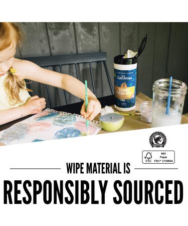 Aunt Fannie's Sweet Mandarin Cleaning Vinegar Wipes - 35 Count - Buy Online on GoSupps.com