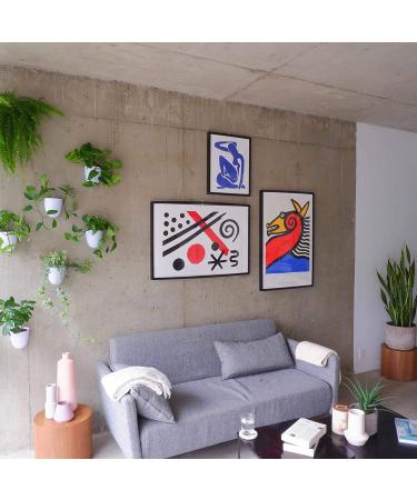 Set of 3 MakeGood Virgo Wall Planters: Lightweight, Easy to Water & Install, Melamine Plastic - Create Your Vertical Garden - Buy Online on GoSupps.com