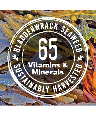 Hydrating Moisturizing Conditioner - Unscented Seaweed, Argan & Coconut Oils - Vegan, Paraben Free | The Seaweed Bath Co. - Buy Online on GoSupps.com
