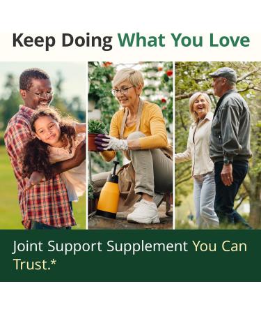 Turmeric Curcumin Boswellia with Ginger & BioPerine - 95% Curcuminoids, Joint & Cartilage Support - 60 Vegan Capsules - Buy Online on GoSupps.com