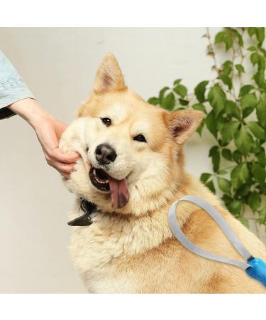 WADY Dog Deshedding Loop Brush 1PC Double-Sided Shedding Blade Dogs Shedding Brush Stainless-Steel Grooming Tool Dog Shedding Tool with Stainless Steel Blade for Dog and Cat Blue (Blue) - Buy Online on GoSupps.com