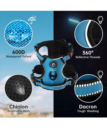 Nestroad Blue Dog Harness for Small Dogs - Padded Anti-Train Cushion Design Adjustable Size S (Neck 28-38cm Chest 38-53cm) with Reflective Strips - Buy Online on GoSupps.com