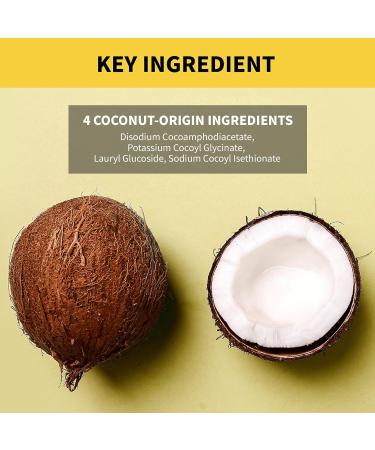 Buy Lanbelle Deep Pore Cleanser - Vegan Cleansing Gel with Coconut Extracts | 7.1 Fl Oz | International Shipping - Buy Online on GoSupps.com