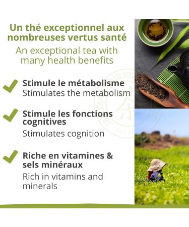  Khla Khla - Organic Sencha Green Tea - 250g Loose Leaf Bag - Metal Tin Refill - Iced Tea - Organic Tea - Fresh & Fragrant - Plant-Based Asian Tea - Origin: China - Iced or Hot - Herbal Tea & Infusion - Buy Online on GoSupps.com