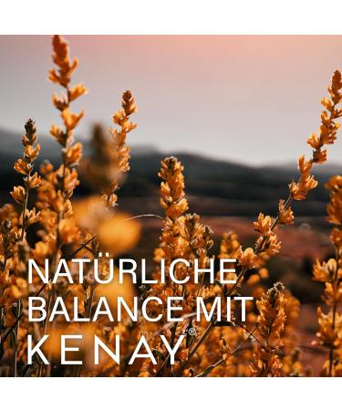 Bergstrom Nutrition Sulfur OptiMSM 90 capsules vegan - Buy Online on GoSupps.com