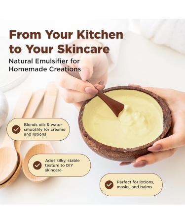 Healthier Comforts Sunflower Lecithin Powder (4 oz) | Non-GMO Plant-Based Emulsifier for Smoothies Baking Chocolate Salad Dressings & DIY Skincare | Natural Phospholipid Source - Buy Online on GoSupps.com