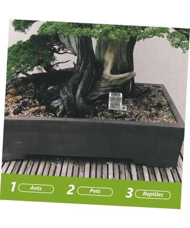 Balacoo 4pcs Pet Water Feeder Ants Farm Accessory Ants Drinking Bowls Ant Feeding Bowl Insect Feeder Plastic - Buy Online on GoSupps.com