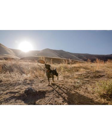 Ruffwear Hover Craft Toy - Wave Orange (Large) | Durable Fetch Toy - Buy Online on GoSupps.com