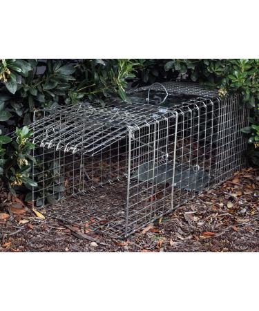 OxGord Live Animal Trap - Humane 2-Door 32 Cage for Raccoon, Opossum, Cat, Rabbit & Rodents - Buy Online on GoSupps.com