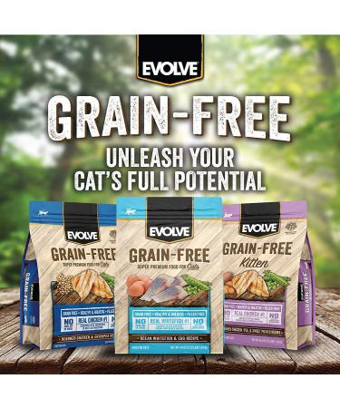 Evolve Grain-Free Ocean Whitefish and Egg Cat Food - Premium Recipe for Healthy Cats - Buy Online on GoSupps.com