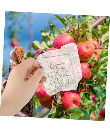 SUPVOX 2pcs Square Apple Fruit Shaping Shape for Vegetable Stereotypes Mould Cover - Buy Online on GoSupps.com