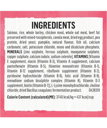 Beyond Superfood Blend Natural Dry Dog Food Wild Caught Salmon Egg & Pumpkin - 1.67 kg Bag 1.67 kg (Pack of 1) Dog Food - Buy Online on GoSupps.com