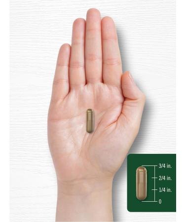 Carlyle Uva Ursi Capsules 1440mg - Herbal Leaf Extract Non-GMO Gluten Free - 150 Count for Optimal Health - Buy Online on GoSupps.com