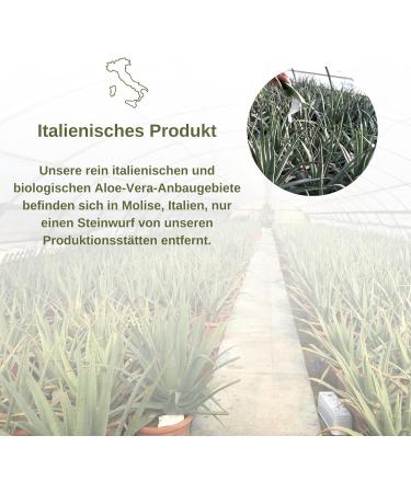 Buy Benessence Aloe Vera Juice with Real Pulp - Unfiltered & Not Pasteurized - 1L Pack - Natural Health Drink for Wellness - Buy Online on GoSupps.com