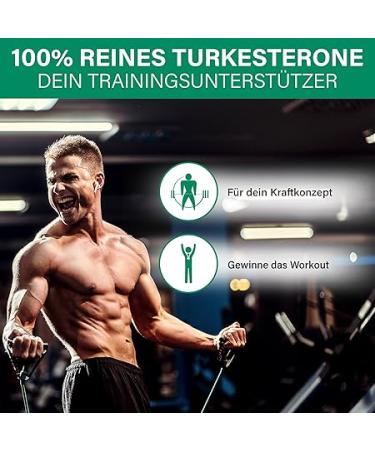 100% Pure Turkesterone 500 mg 72 Capsules Beta-Ecdysterone from Ajuga Turkestanica for Muscle Building, Performance Enhancement and Performance Peak, Made in Germany - Buy Online on GoSupps.com