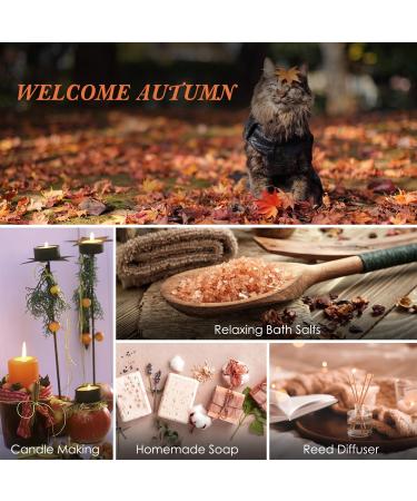 Buy SALUBRITO Fall Fragrance Oils Set - Autumn Essential Oils for Diffuser & Candle Making | Cinnamon Pumpkin Spice Vanilla & More | 6x10ml Aromatherapy Gift - Buy Online on GoSupps.com