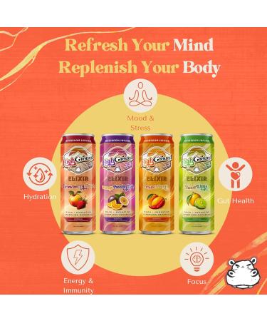 High Ground Elixir Mushroom Seltzer Variety Pack | Lion s Mane for Focus Reishi for Stress Cordyceps Chaga Turkey Tail L-Theanine | Adaptogen Drink | Low Cal No Added Sugar 12oz Cans 6 Pack Variety Pack 6 Pack - Buy Online on GoSupps.com