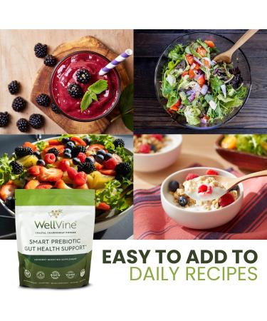 WellVine Premium Smart Prebiotic Gut Health Supplement Powder for Men & Women | Digestive Support & Gut Health With 100% Upcycled Chardonnay Grapes | Plant-Based Gluten and Allergen-Free | 4.75Oz - Buy Online on GoSupps.com