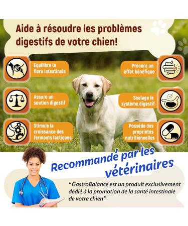 GastroBalance Probiotic Dog Treatment 60 Natural Probiotic Dog Intestinal Flora Croquettes Bacon Flavor (French) - Buy Online on GoSupps.com