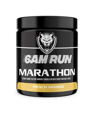 6AM RUN Marathon - Pre Workout Powder for Distance Running & Essential Amino Energy - No Jitters, High Energy for Cardio & Stamina Formula - All Natural, Keto, Vegan (Peach Mango, Full Bottle) Peach Mango 12.7 Ounce (Pack …