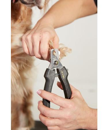 Andis Premium Pet Grooming Accessories - Large Nail Clipper for Dogs & Cats | Best International Shipping - Buy Online on GoSupps.com
