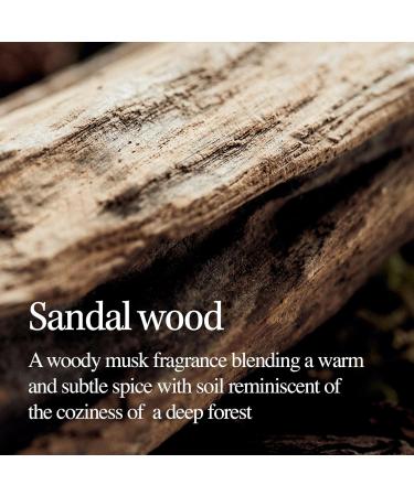 Sandalwood Intensive Perfume Body Lotion 6.76 Fl Oz | Soothing Hydrating & Nourishing Formula with Camellia Oil & Ceramide | Strengthen Skin Barrier | Shop Internationally - Buy Online on GoSupps.com