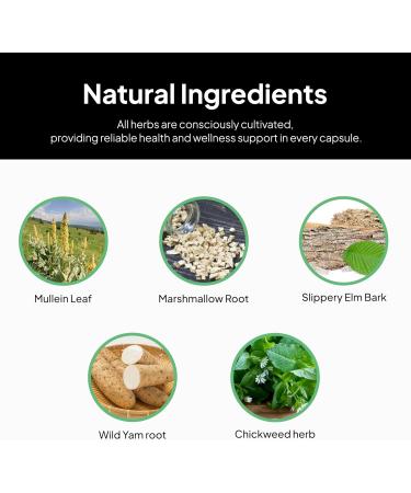 Doctor Morse's GI Daily - Gut Cleanse - Digestive Support - Intestinal, Overall Gut Support - Naturopath Formulated - Marshmallow Root, Slippery Elm Bark, Mullein Leaf - 90 Capsules - 45 Day Supply - Buy Online on GoSupps.com