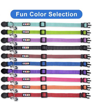 Pawtitas Reflective Cat Collar | Safety Buckle & Bell | Personalized & Customizable | Teal - Buy Online on GoSupps.com