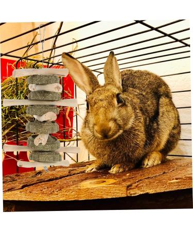 BESPORTBLE Pet Teething Treat Wooden Oral Chewing Playthings Bunny Chewing Playthings - Buy Online on GoSupps.com