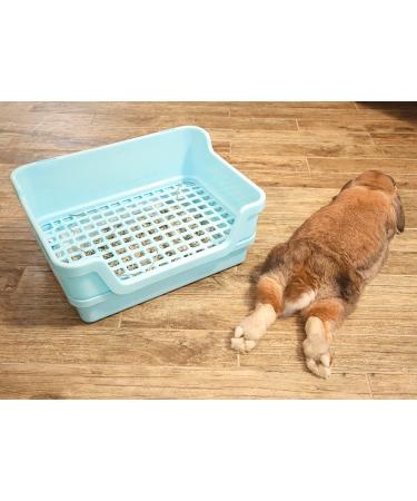 HoppScotch.bun Large Rabbit Litter Box with Plastic Grid & Dump Tray - Bunny Poop Tray for Bunny Feet - Pet Waste Station and Supplies - Training Corner Litter Pan for Rabbit Cage Accessories - Cream - Buy Online on GoSupps.com