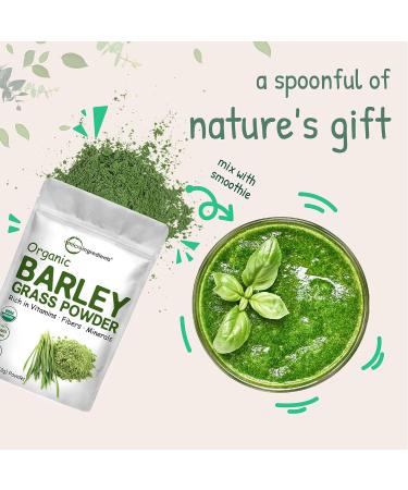 Organic Barley Grass Powder 16 oz | US Grown Superfood Rich in Vitamins, Minerals, Antioxidants | Immune Health & Digestion Support | Non-GMO - Buy Online on GoSupps.com