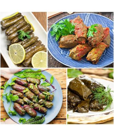 Sunscreen SPF 50 Madagascar Sunscreen Water-fit Sun Serum Sun Protection Moisturizing Cream No Sticky Refreshing (3 Pcs) - Buy Online on GoSupps.com